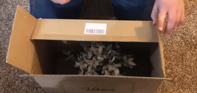 Box Closing Demo